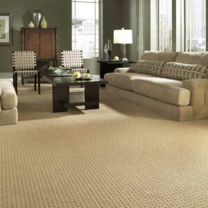 Living room Carpet | Rugs Rolls and More