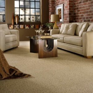 Living room Carpet flooring | Rugs Rolls and More