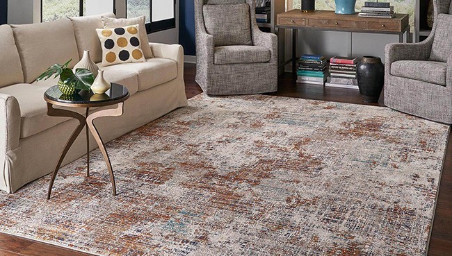 Area Rug for living room | Rugs Rolls and More