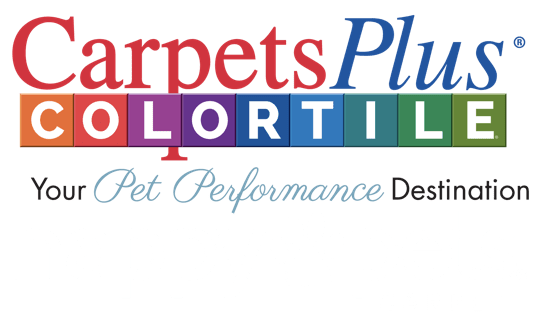 colortile your pet performance destination | Rugs Rolls and More