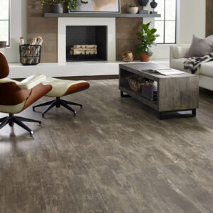 Vinyl flooring for living room | Rugs Rolls and More