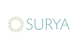 Surya | Rugs Rolls and More